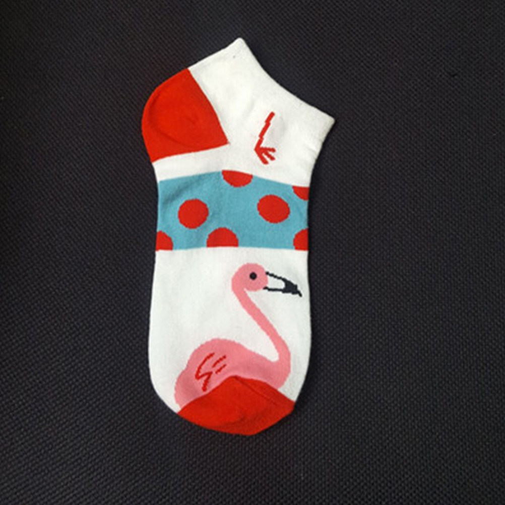 5 pares de meias curtas de alg - Invisibility Sock Loafer avaliação e preço